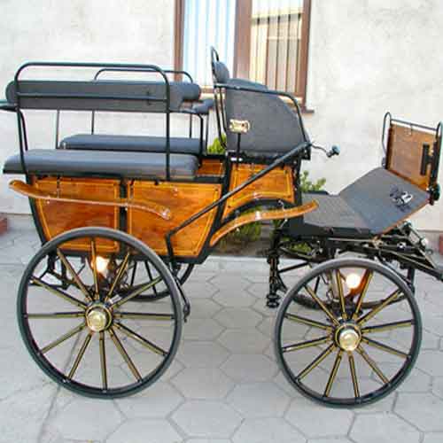 Carruaje de paseo vagoneta respaldo madera 014P - Imagen 3